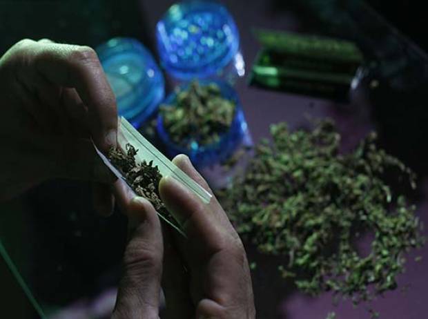 Permisos para autoconsumo de marihuana en México, se entregarán en 10 días