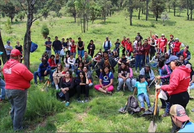 UMAD realiza jornada de reforestación en el cerro Zapotecas