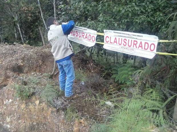 Profepa clausura proyecto habitacional en Huauchinango por irregularidades