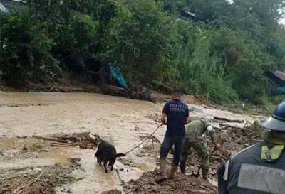 SSP de Puebla busca a desaparecidos en Sierra Norte con ayuda de comando canino