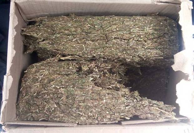 Incautan 5 kilos de mariguana en bulevar Forjadores