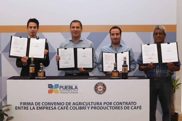 Contratan cosechas de café, cebada y chile a productores poblanos