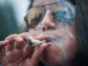 Ministro propone legalizar mariguana con fines recreativos