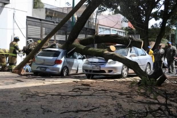 Por si los vientos, mejor asegura tu casa contra contingencias