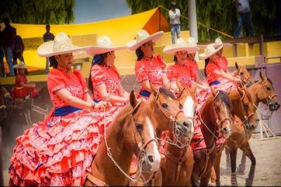 FOTOS: Roban tractocamión con ocho caballos de alta competencia en Texmelucan