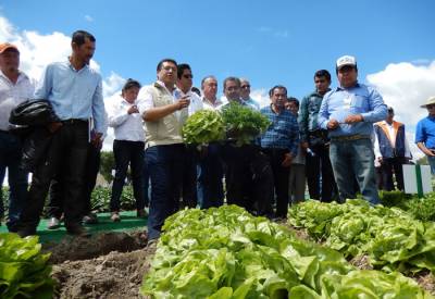 Expo Hortícola en Los Reyes de Juárez, Puebla