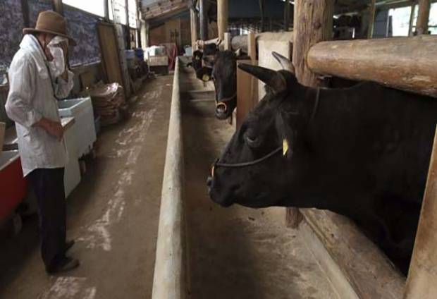 Veterinarios reportan casos de tuberculosis bovina en humanos en Puebla