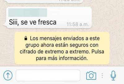 Checa cómo WhatsApp ya blinda tus chats