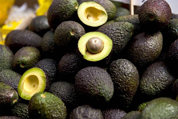 Precio del aguacate alcanza hasta 95 pesos por kilo en el país