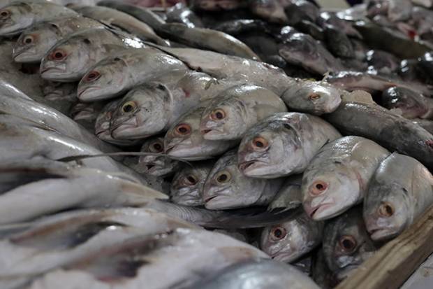 Profeco vigilará abusos de precios en venta de pescados y mariscos