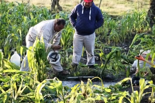 Desalojan a 2 mil personas en la Sierra Norte de Puebla por fuga en ducto de Pemex