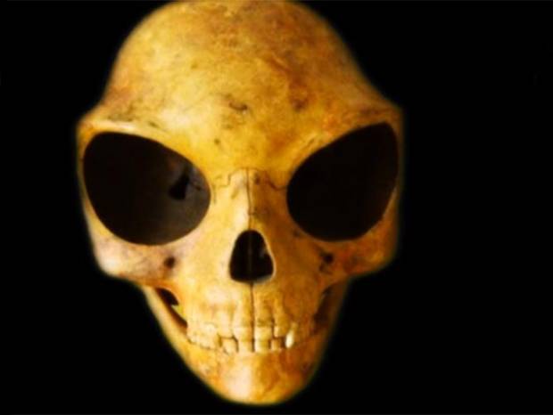 Cráneo danés causa polémica ¿es humana o extraterrestre?