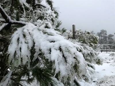 También nevó en el Ajusco, La Marquesa y Tres Marías