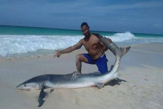 Sacan a tiburón del agua para tomarse una selfie y muere