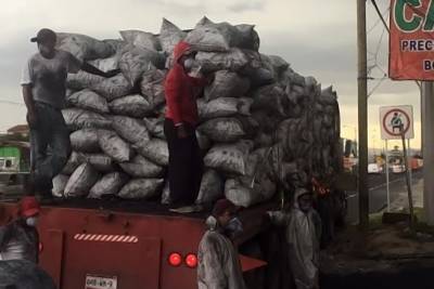 PGR asegura 85 toneladas de carbón en bodega de Puebla