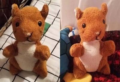 Encuentran en Puebla peluche de bebé enfermo del corazón