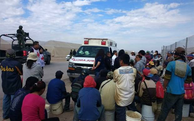 Rescatan  a 72 víctimas de trata en campo agrícola de Coahuila