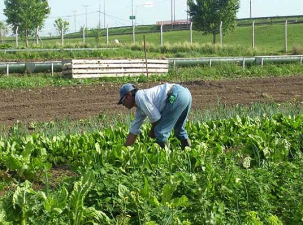 INEGI reconoce a Puebla como el estado con mayor crecimiento agropecuario