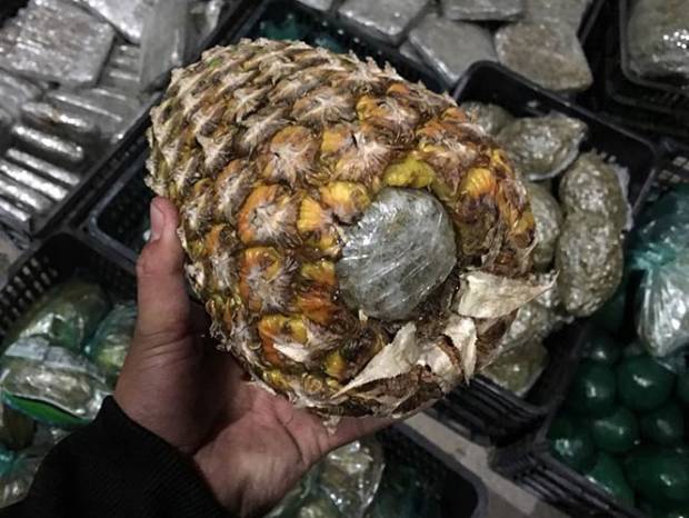 Decomisan aguacates y piñas rellenas con marihuana en Jalisco