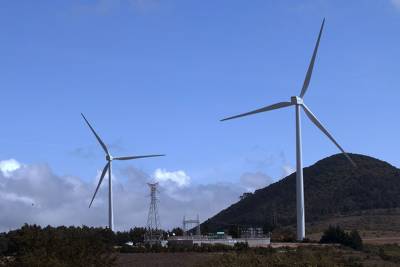 Iberdrola anuncia parque eólico en Puebla para empresa cervecera