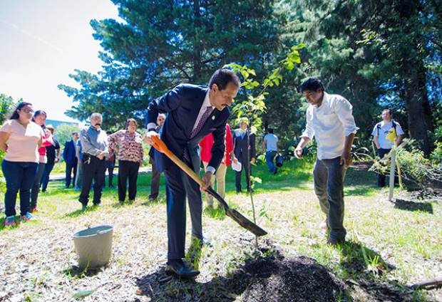 BUAP celebra el Día del Árbol