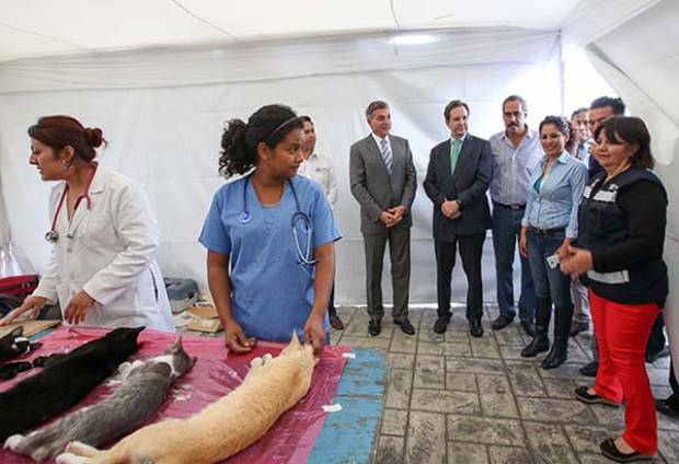 Ayuntamiento de Puebla realiza Macro Jornada de Esterilización de mascotas