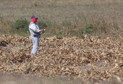 Puebla reduce sus áreas vulnerables de sequía: Conagua