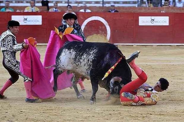 VIDEO: Murió el torero Victor Barrio tras cornada en España