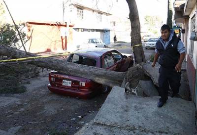 FOTOS: Fuertes vientos derribaron al menos 20 árboles en la ciudad de Puebla