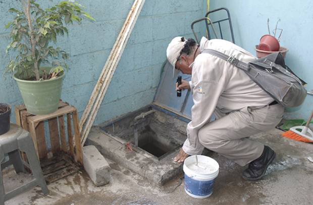 Puebla libre de chikungunya a pesar de aumento de casos en el país