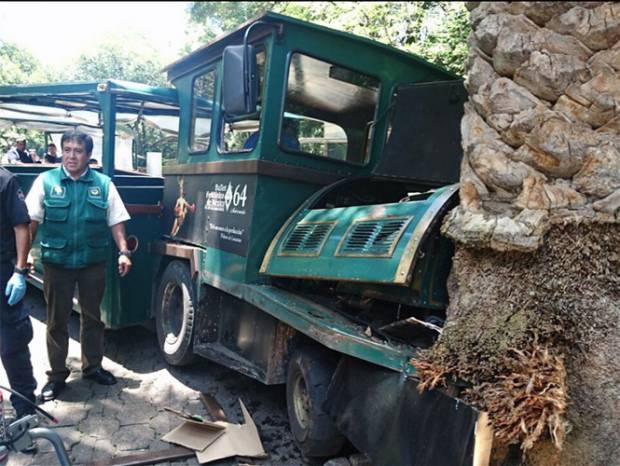 Choca el trenecito de Chapultepec; hay 13 heridos