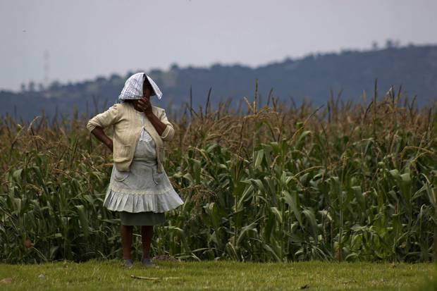 El 64% de los habitantes de Puebla viven en pobreza: Sedesol