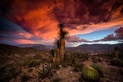 Valle de Tehuacán-Cuicatlán, en las candidaturas de la UNESCO al Patrimonio Mundial