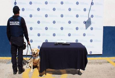 Hallan lanzagranadas en empresa de paquetería de la colonia San Rafael Oriente