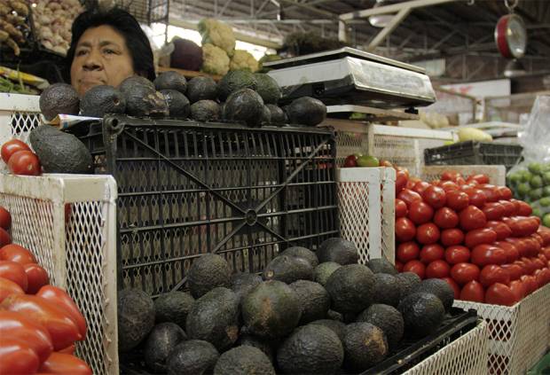 Precio del aguacate alcanza los 90 pesos por kilo