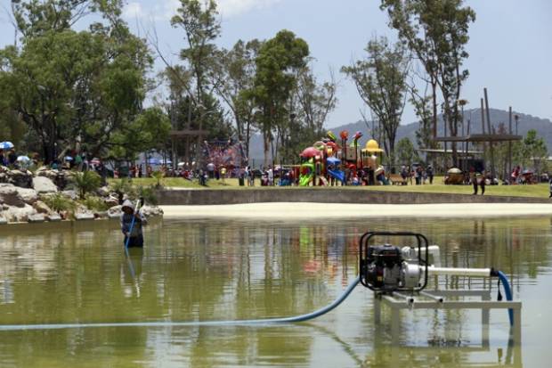 Pañales, vasos, pedazos de pelotas... De todo sacaron del lago del Parque Amalucan