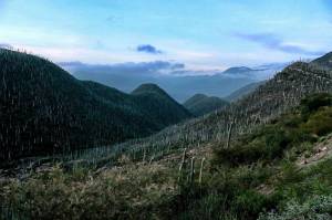Unesco nunca declaró Patrimonio Mundial al Valle de Tehuacán