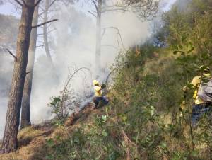 Mitigan 5 incendios forestales en Puebla; 350 has afectadas en Tetela