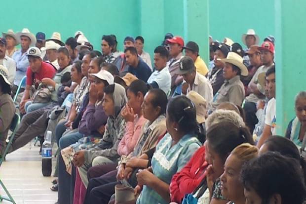 Productores de flores y verduras de Atlixco seguirán trabajando en mercado de La Trinidad Tepango