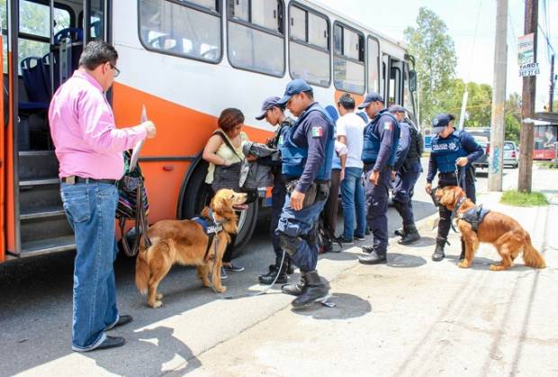 Mantiene SSPTM Puebla operativos Pasajero Seguro K9