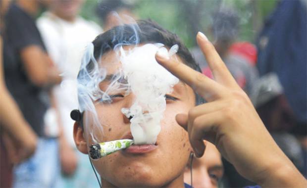 Senado aprobará legalización de mariguana antes de diciembre