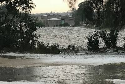 FOTOS: Intensa granizada afecta cultivos en la región de Tepeaca