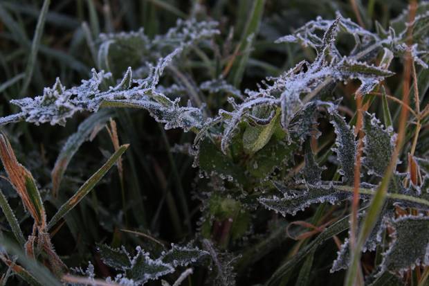 Frente número 13 mantiene temperaturas bajo cero en montañas de Puebla