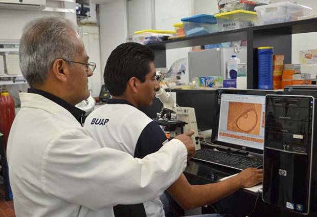 Investigadores de la BUAP buscan crear fármacos contra el cáncer