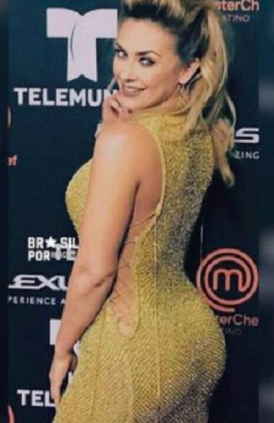 Aracely Arámbula conquistó redes sociales con sexy post