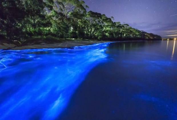 Disfruta los destinos bioluminicentes de México