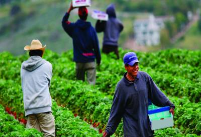 Este año mil 200 poblanos en el programa de trabajadores agrícolas temporales México-Canadá