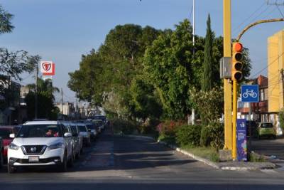 Olas de calor se agravan por la falta de árboles en la ciudad de Puebla: BUAP