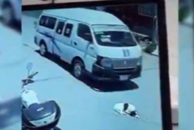 VIDEO: Chofer de Ruta 11 arrolló a un perro que descansaba sobre la calle en Puebla