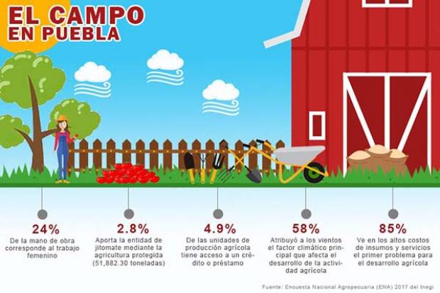 Femenina, el 24% de la mano de obra en el campo de Puebla